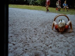 0DIA 1983 RAVAKAMP